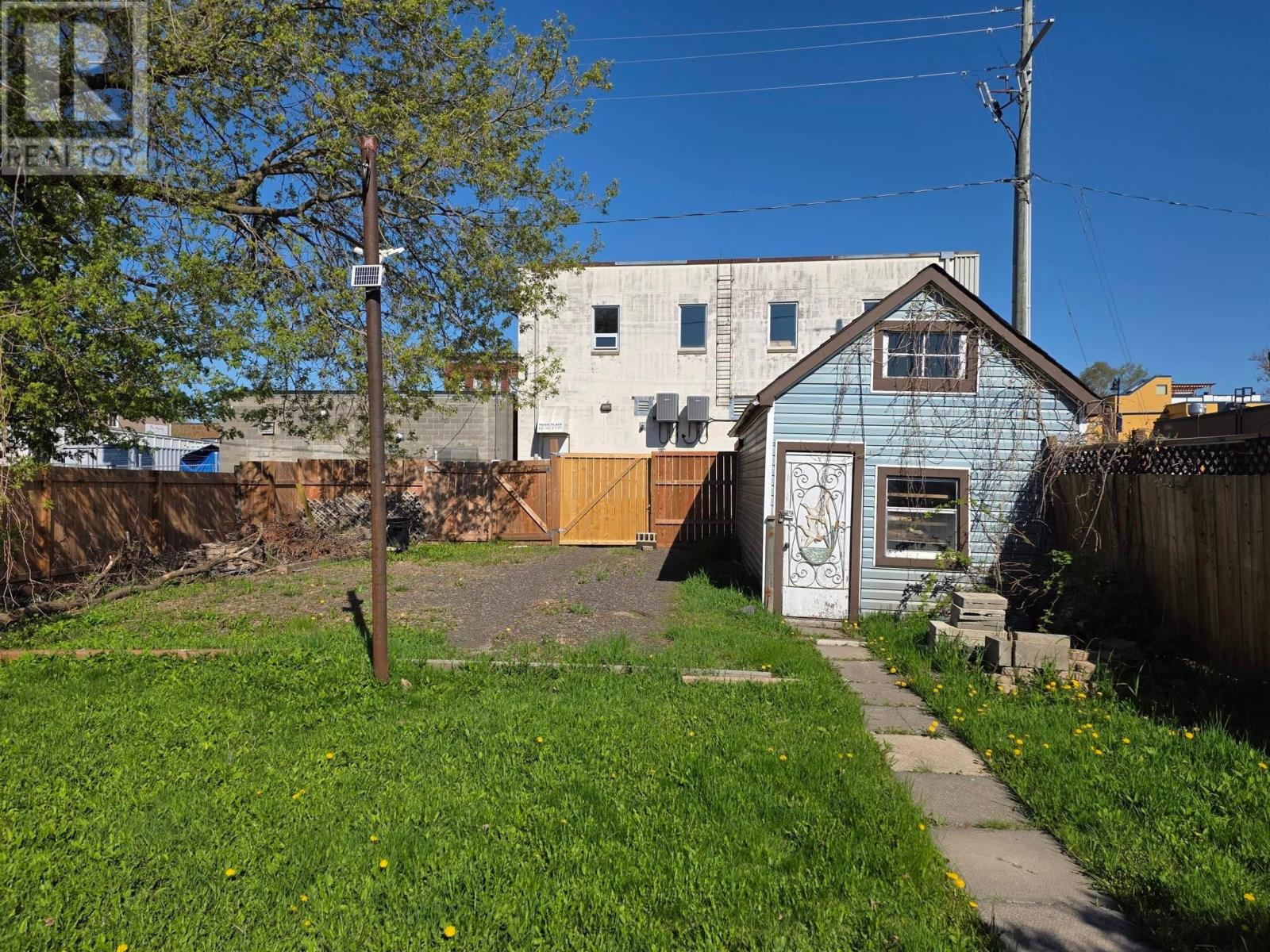 84 Machar Ave - 36