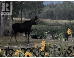 2654 Stenset Road, Smithers, BC V0J2N4 Photo 31