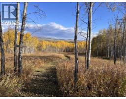 2654 Stenset Road, Smithers, BC V0J2N4 Photo 40