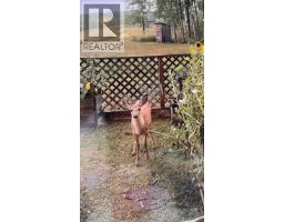 2654 Stenset Road, Smithers, BC V0J2N4 Photo 30
