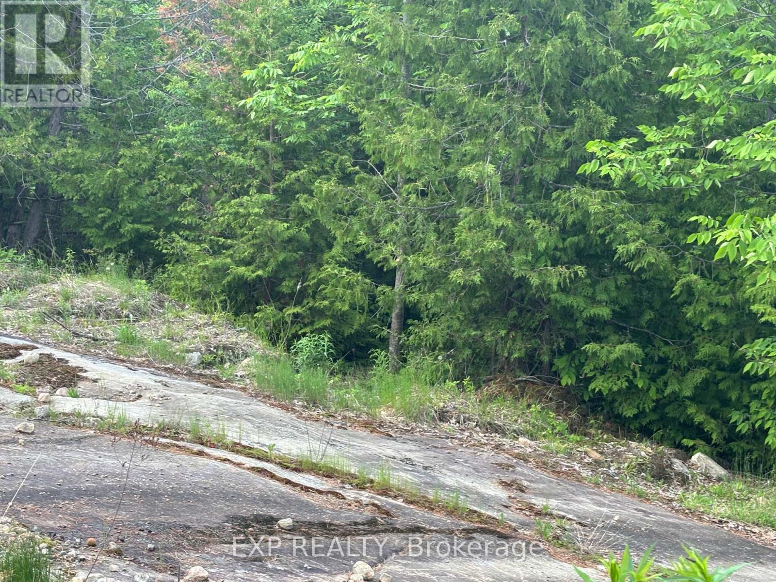 47 ARBOR VITAE ROAD - 14