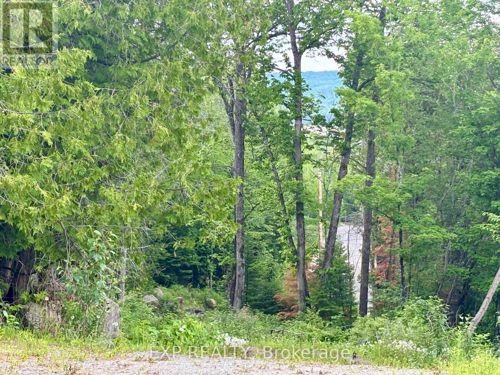 47 ARBOR VITAE ROAD - 16