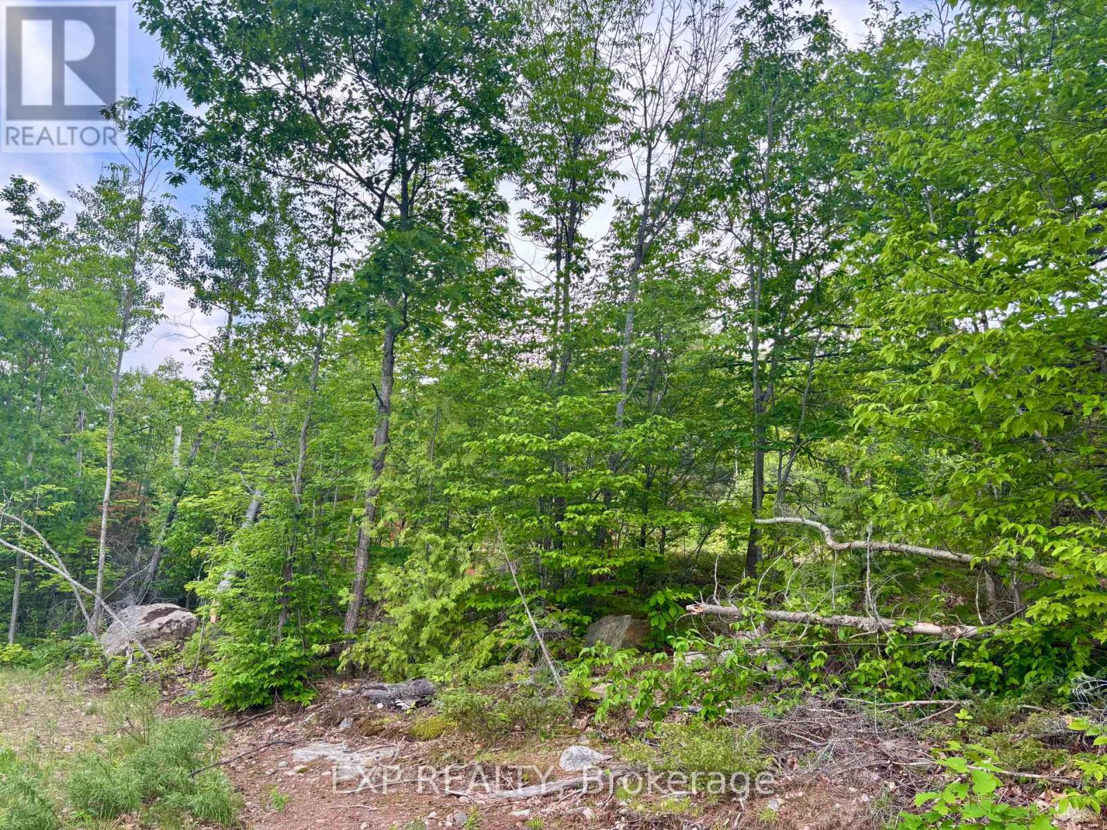 47 ARBOR VITAE ROAD - 17