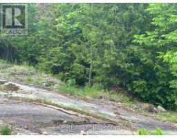 47 Arbor Vitae Road, Madawaska Valley, ON K0J1B0 Photo 12