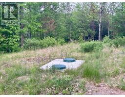 47 Arbor Vitae Road, Madawaska Valley, ON K0J1B0 Photo 15