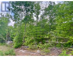 47 Arbor Vitae Road, Madawaska Valley, ON K0J1B0 Photo 13