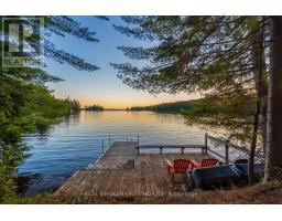 67 Birch Hill Lane, Greater Madawaska, ON K0J1H0 Photo 41