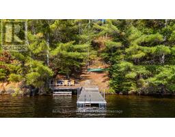 67 Birch Hill Lane, Greater Madawaska, ON K0J1H0 Photo 44