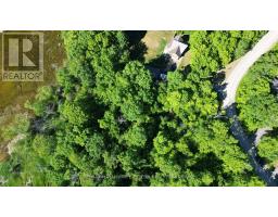 20 Riverside Drive, Trent Hills, ON K0L1L0 Photo 6