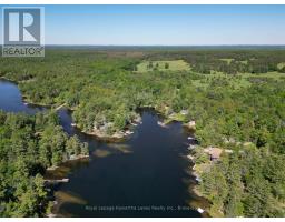 40 Wembley Drive, Kawartha Lakes, ON K0M1N0 Photo 33