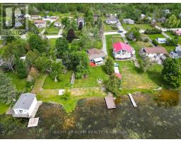 Solarium - 203 Mcguire Beach Road, Kawartha Lakes, ON K0M2B0 Photo 7