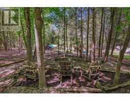 152 Old Mill Road, Georgian Bluffs, ON N0H2T0 Photo 29