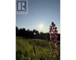 161 Harbour Heights Road, Broad Cove Banks, NS B0E1N0 Photo 41