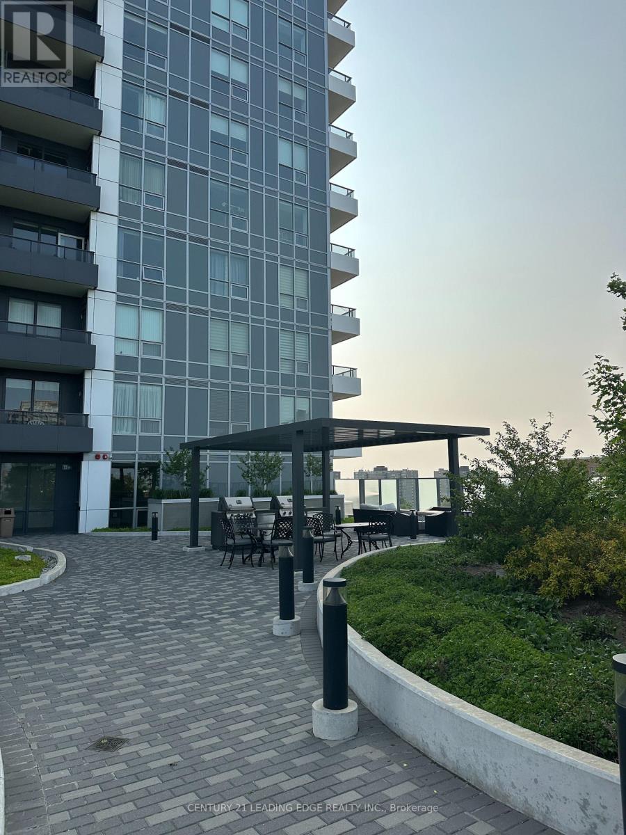 Roof Top Terrace