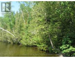 0 Fire Route 330 Route, Trent Lakes, ON K0M1R0 Photo 6