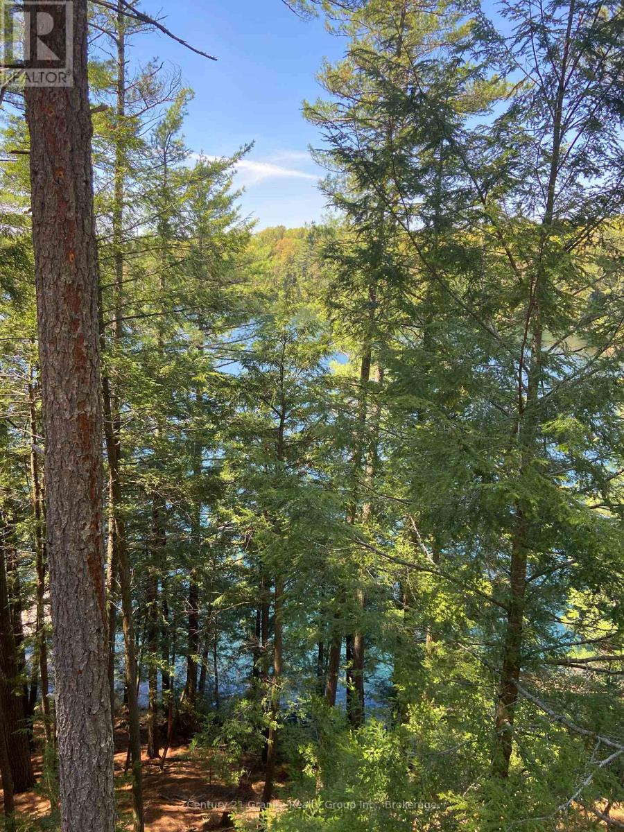 1153 BITTER LAKE ROAD - 11