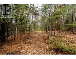 8 Poplar Street, Wasaga Beach, ON L9Z2X5 Photo 16