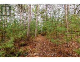 8 Poplar Street, Wasaga Beach, ON L9Z2X5 Photo 13