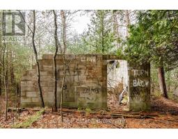 8 Poplar Street, Wasaga Beach, ON L9Z2X5 Photo 15