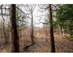 8 Poplar Street, Wasaga Beach, ON L9Z2X5 Photo 21