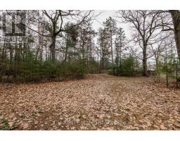 8 Poplar Street, Wasaga Beach, ON L9Z2X5 Photo 22
