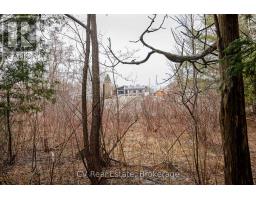 8 Poplar Street, Wasaga Beach, ON L9Z2X5 Photo 20