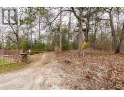 8 Poplar Street, Wasaga Beach, ON L9Z2X5 Photo 10