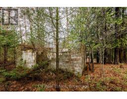 8 Poplar Street, Wasaga Beach, ON L9Z2X5 Photo 14