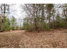 8 Poplar Street, Wasaga Beach, ON L9Z2X5 Photo 12