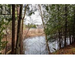 8 Poplar Street, Wasaga Beach, ON L9Z2X5 Photo 17