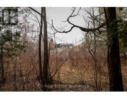 8 Poplar Street, Wasaga Beach, ON L9Z2X5 Photo 19