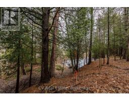 8 Poplar Street, Wasaga Beach, ON L9Z2X5 Photo 18