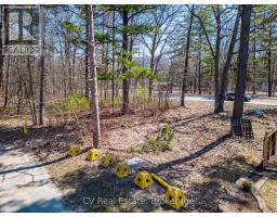 8 Poplar Street, Wasaga Beach, ON L9Z2X5 Photo 35