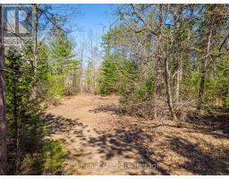 8 Poplar Street, Wasaga Beach, ON L9Z2X5 Photo 34