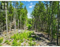 Lot 2 Lavender Cove Road, Port Mouton, NS B0T1T0 Photo 16