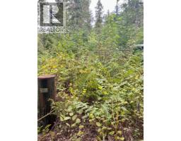 5105 3 Highway, Salmo, BC V0G1Z0 Photo 6