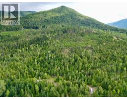 5105 3 Highway, Salmo, BC V0G1Z0 Photo 9