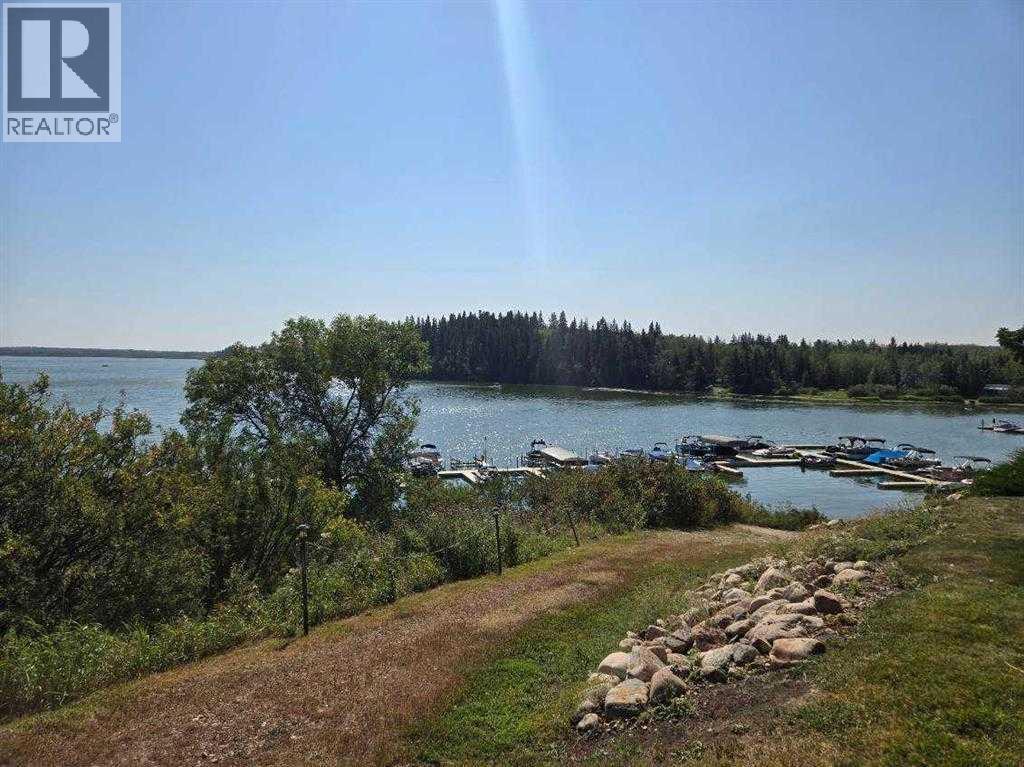 25054 South Pine Lake Road - Photo 10