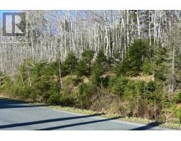Lot 1&2, Mood Road, Summerville, NS B5A5N6 Photo 13