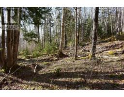 Lot 1&2, Mood Road, Summerville, NS B5A5N6 Photo 9