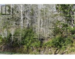 Lot 1&2, Mood Road, Summerville, NS B5A5N6 Photo 11