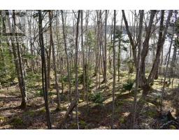 Lot 1&2, Mood Road, Summerville, NS B5A5N6 Photo 7