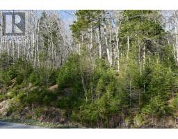 Lot 1&2, Mood Road, Summerville, NS B5A5N6 Photo 12