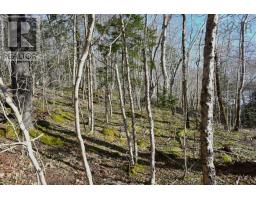 Lot 1&2, Mood Road, Summerville, NS B5A5N6 Photo 10