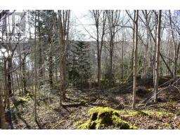 Lot 1&2, Mood Road, Summerville, NS B5A5N6 Photo 6