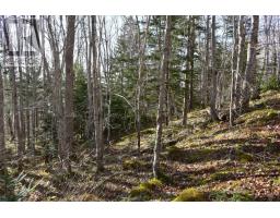 Lot 1&2, Mood Road, Summerville, NS B5A5N6 Photo 8