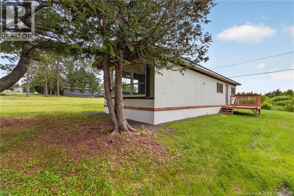14 Raworth Avenue - 5