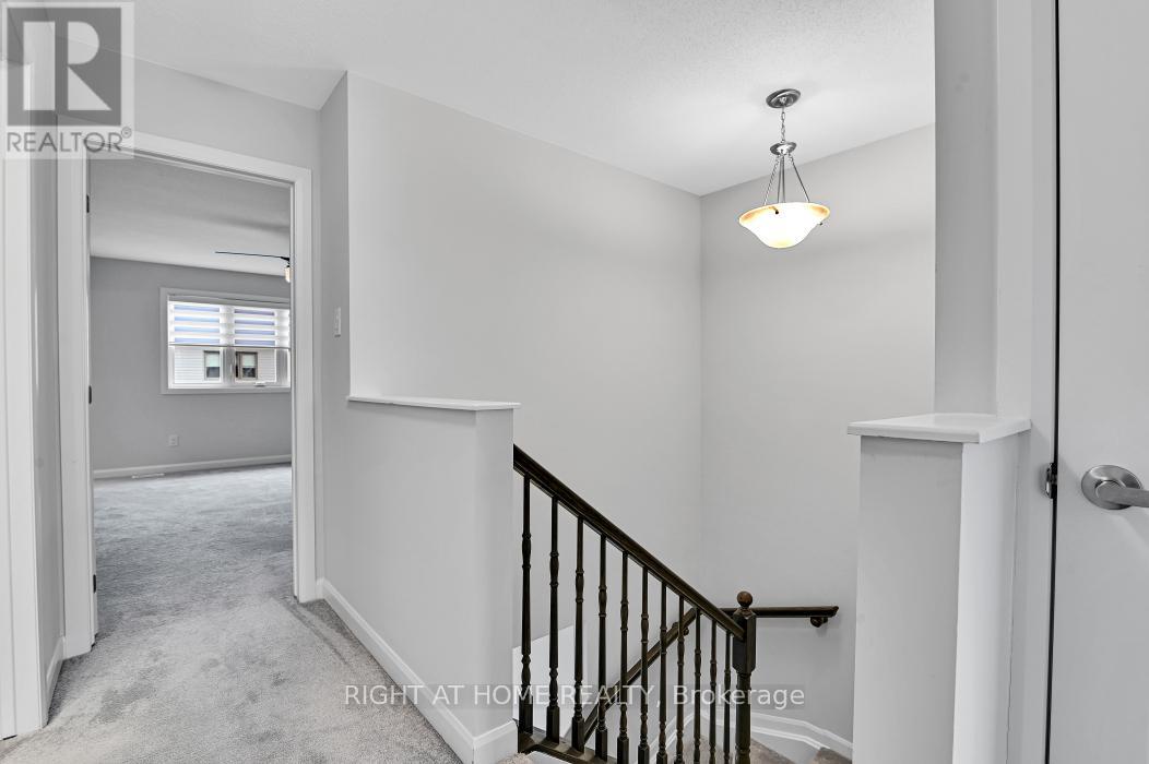 306 GUPPY GROVE - 16