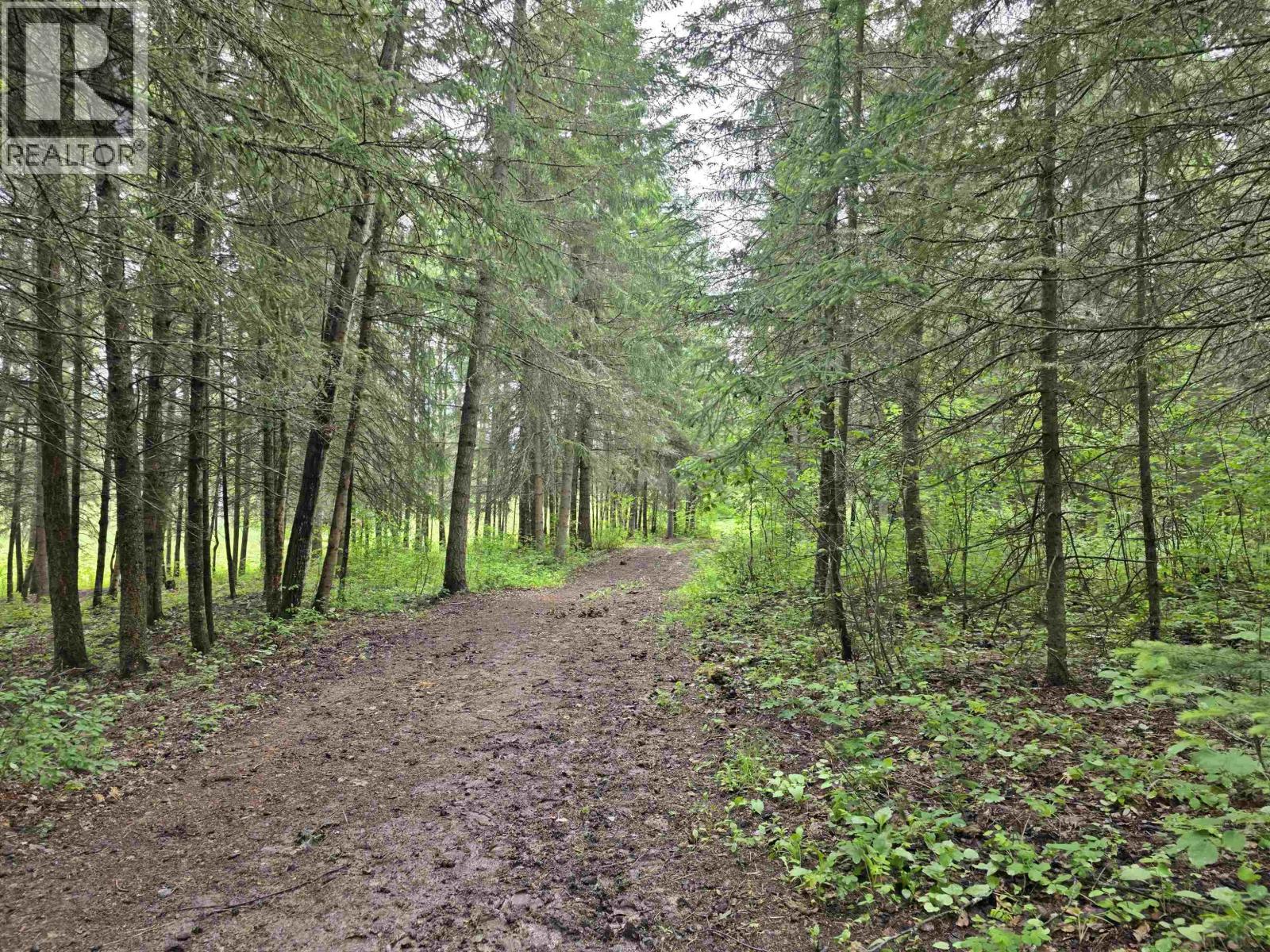 3853 DALE LAKE ROAD - 26