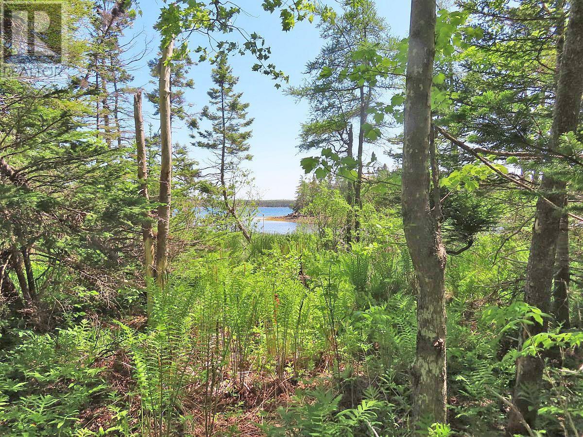 Property 16 of 49 of Lot 14 Perry Lane